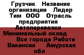 Грузчик › Название организации ­ Лидер Тим, ООО › Отрасль предприятия ­ Автоперевозки › Минимальный оклад ­ 19 000 - Все города Работа » Вакансии   . Амурская обл.